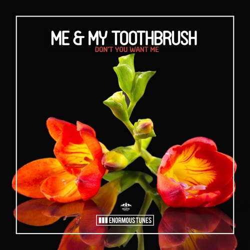 Me & My Toothbrush - Don't You Want Me [ETR690]